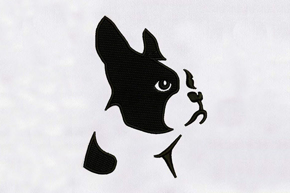 Boston Dog Embroidery Design Review for Personalized Gifts