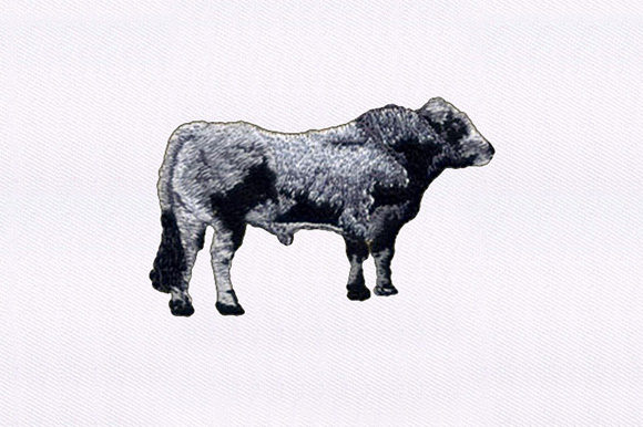 Gray and Black Cow: A Seasonal Embroidery Design Review