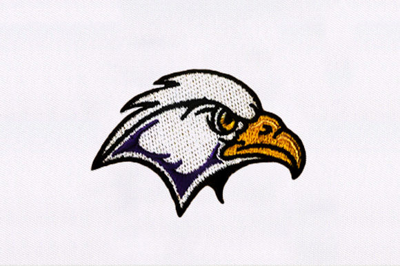 Hawk Face Embroidery Design Review for Boutique Sweatshirts